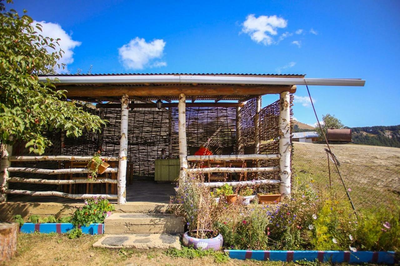 Guest House Old Omalo Extérieur photo